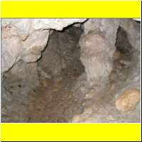 DSCN5254_s.jpg