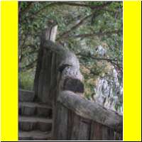 DSCN5286_s.jpg