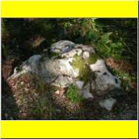 DSCN5288_s.jpg