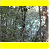 DSCN5289_s.jpg
