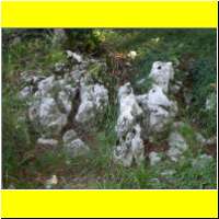 DSCN5292_s.jpg