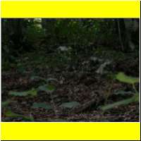 DSCN5299_s.jpg
