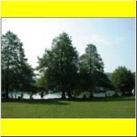 DSCN5314_s.jpg
