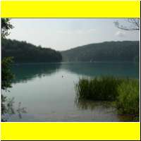 DSCN5318_s.jpg