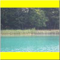 DSCN5341_s.jpg