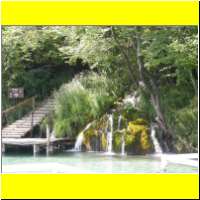 DSCN5350_s.jpg