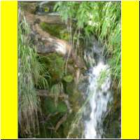 DSCN5352_s.jpg