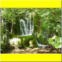 DSCN5355_s.jpg