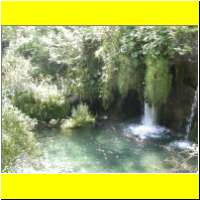 DSCN5360_s.jpg