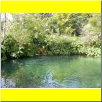 DSCN5361_s.jpg