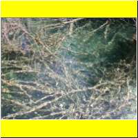 DSCN5362_s.jpg