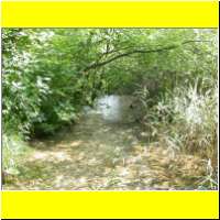 DSCN5369_s.jpg