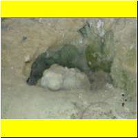 DSCN5372_s.jpg