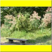 DSCN5375_s.jpg