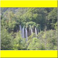 DSCN5378_s.jpg