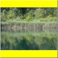 DSCN5380_s.jpg