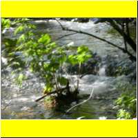 DSCN5381_s.jpg