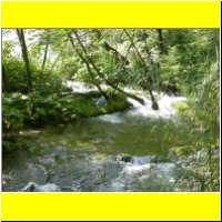 DSCN5382_s.jpg