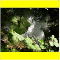 DSCN5383_s.jpg
