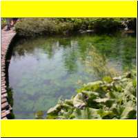 DSCN5386_s.jpg