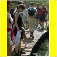 DSCN5387_s.jpg
