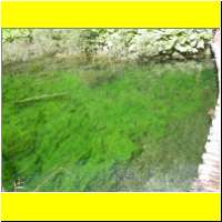 DSCN5389_s.jpg