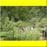 DSCN5391_s.jpg