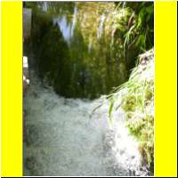 DSCN5393_s.jpg