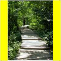 DSCN5396_s.jpg