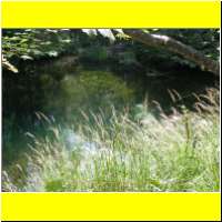DSCN5399_s.jpg