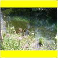 DSCN5400_s.jpg