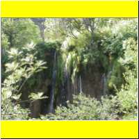 DSCN5403_s.jpg