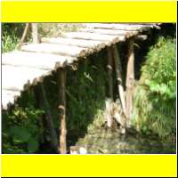 DSCN5404_s.jpg