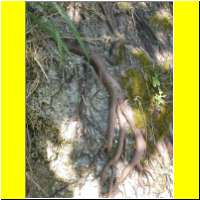 DSCN5405_s.jpg