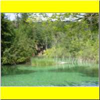 DSCN5415_s.jpg