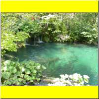 DSCN5416_s.jpg