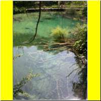DSCN5417_s.jpg