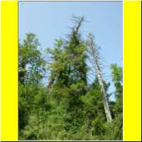 DSCN5418_s.jpg