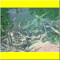 DSCN5419_s.jpg