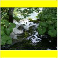 DSCN5426_s.jpg