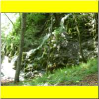 DSCN5434_s.jpg