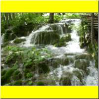 DSCN5438_s.jpg