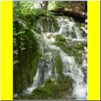 DSCN5440_s.jpg