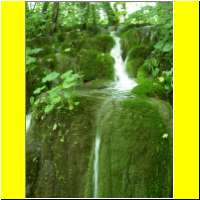 DSCN5441_s.jpg