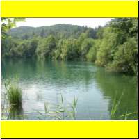 DSCN5442_s.jpg