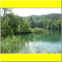 DSCN5445_s.jpg