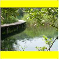 DSCN5446_s.jpg