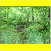 DSCN5453_s.jpg