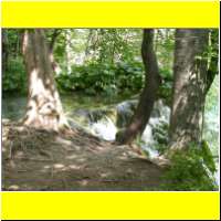 DSCN5456_s.jpg