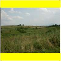 DSCN5479_s.jpg